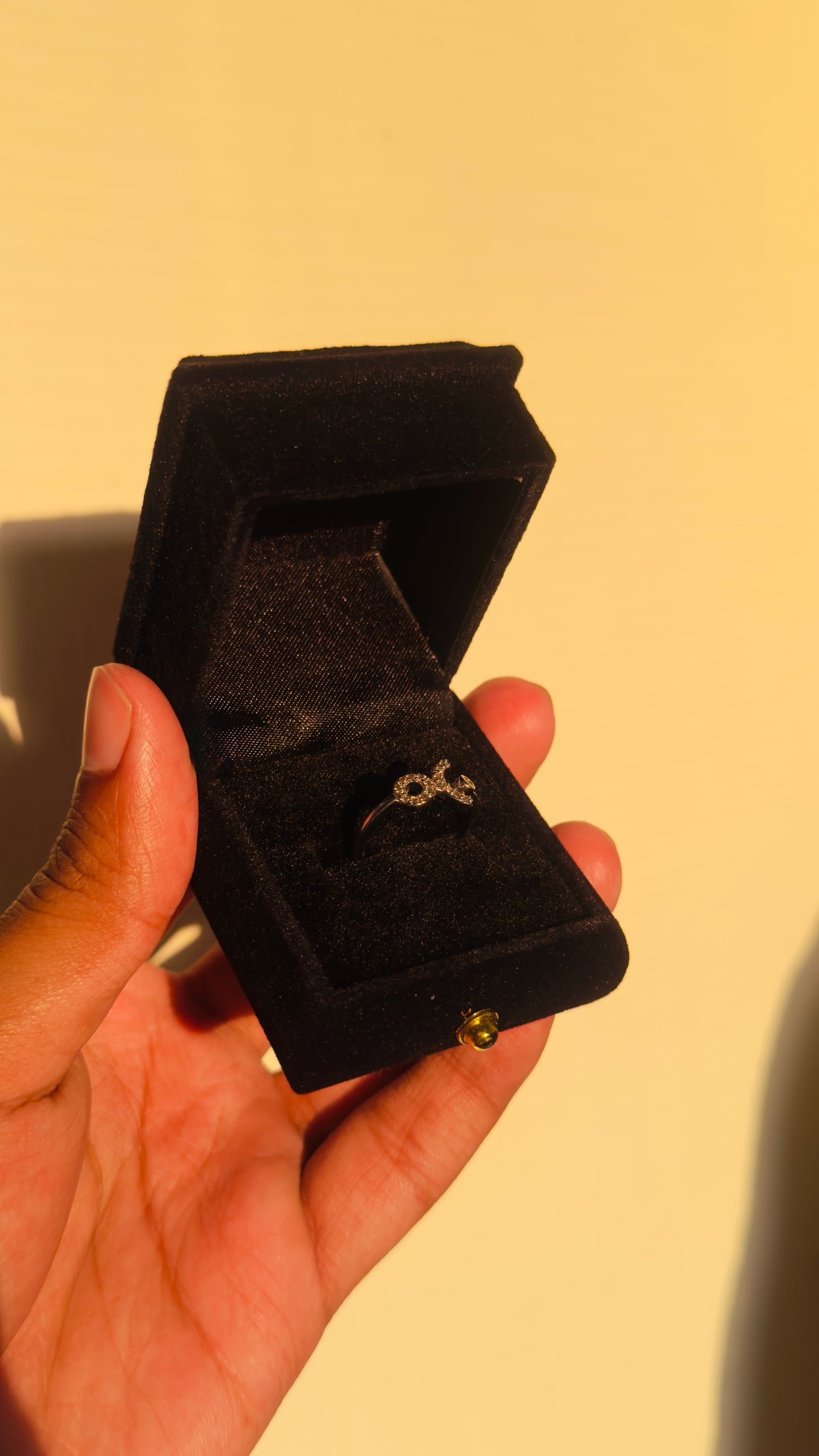 Twist & Turn Zircon Stainless Steel Ring