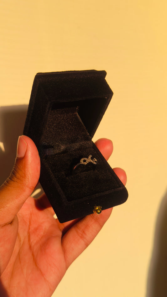 Twist & Turn Zircon Stainless Steel Ring