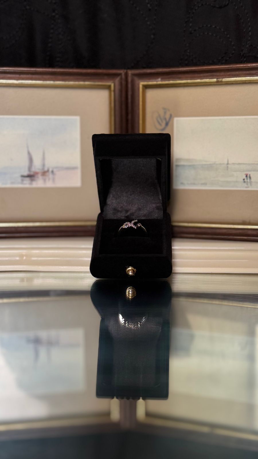 Twist & Turn Zircon Stainless Steel Ring